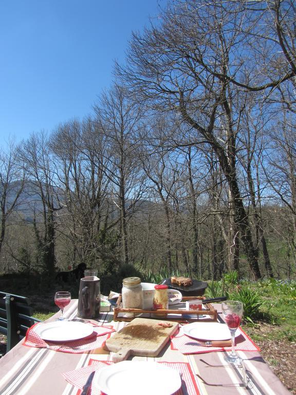 Bed and Breakfast Les Cimes Saint-Pierre-de-Rivière Zewnętrze zdjęcie